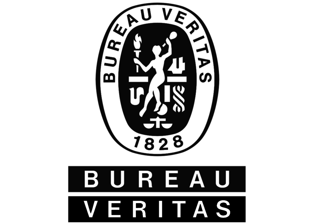 logo Bureau Vertitas collaboration The Lean Six Sigma Company 